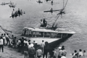 Ангел-хранитель или просто пловец