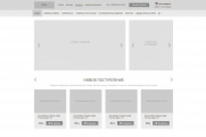 Интернет-магазин комиксов версия для ПК