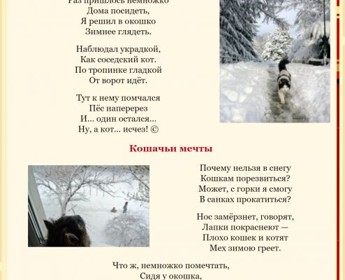 img3208508.png