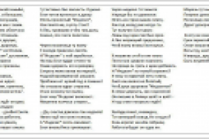 Енот и Индезит