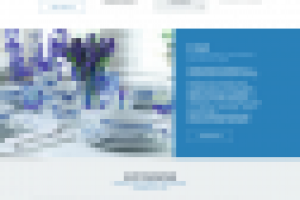 Дизайн сайта