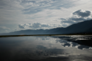 Работа 2225048