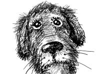 img514125.png