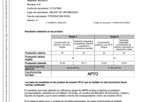 Сертификат DELE C1 (испанский язык)