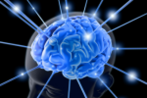 Здесь и сейчас