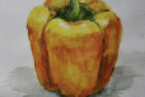 Работа 3042199