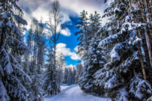 Работа 2956230