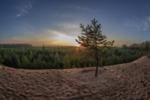 Работа 2956102