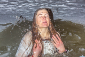 Работа 2956401