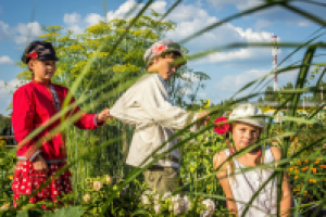 Работа 2956403