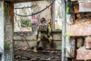 Работа 2956097