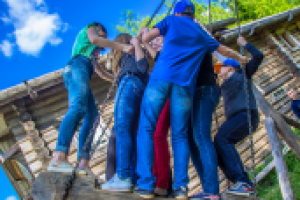 Работа 2956006