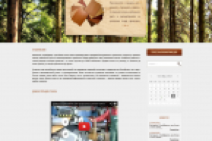 Сайт для производителя материалов из дерева "СтройДекор"