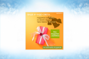 Ив Роше №006