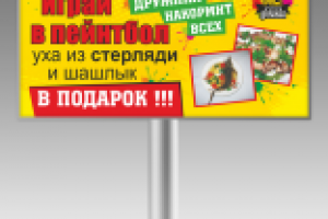 Баннер пейнтбольный клуб Дружина