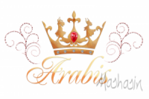 Логотип для школы восточного танца