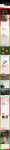 img3040738.png