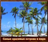 img1993500.png