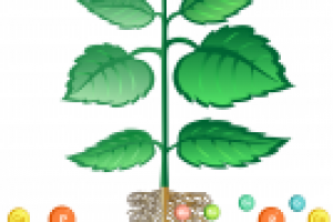 Работа 2630290