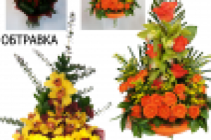 Работа 2375512