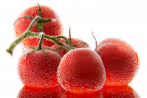 Работа 2796546