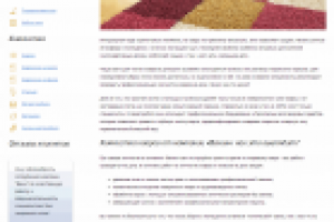 Химчистка ковров (текст об услуге для внутренней страницы сайта)