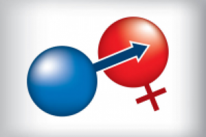 Транскрибация. Лекция по сексологии