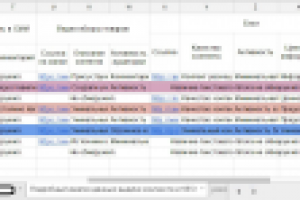 Маркетинговые исследования новой ниши
