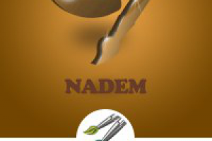 Надэм.рф работа с тематиками. "Творчесво".