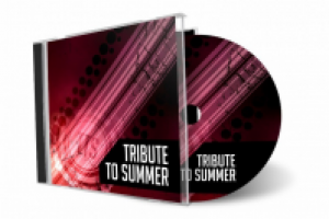 Tribute to Summer 2011