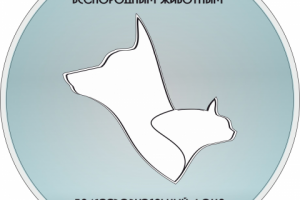 Работа 3263628