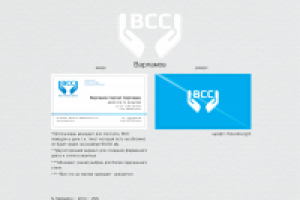 Компания ВСС