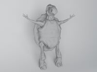 img2453312.png