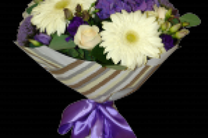 Работа 2086235