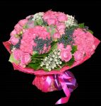 img2086225.png