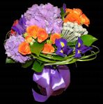 img2086221.png