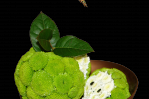 Работа 2086215