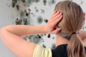 NANO-FIX MEDIC – локальная победа над плесенью