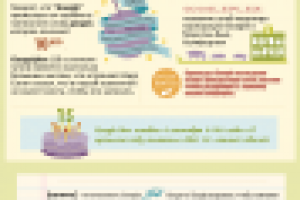 Перевод инфографики "Новый взгляд на Google"