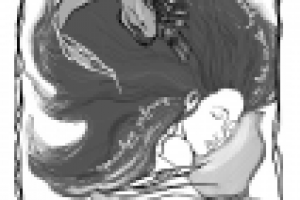 Работа 2579620