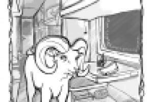 Работа 2579636