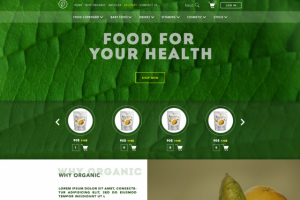 Сайт онлайн-магазина еды. Главная страница