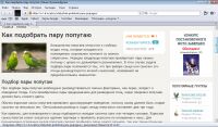 img1505464.png