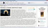 Почему у кошек светятся глаза
