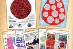 Работа 1769878