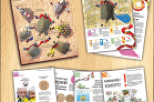 Работа 1769833