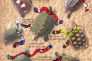 Работа 1917068