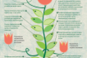 Работа 1771993