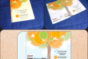 Работа 1770011