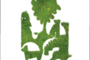 Работа 1769921